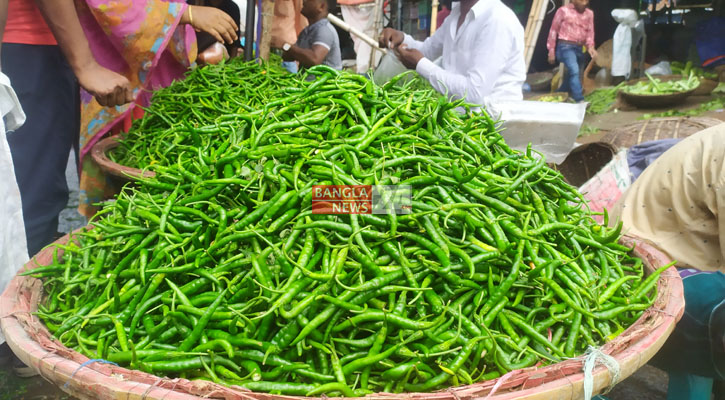 কাঁচা মরিচের কেজি এখন ২৫০